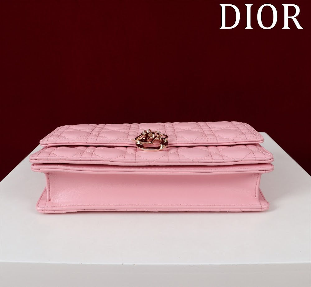 Ezyycart Bags Diorn Luxury Bag --116300
