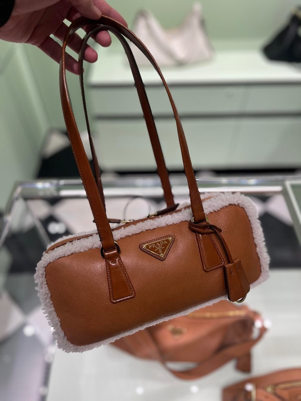 Ezyycart Bags Pradn Luxury Bag --102874