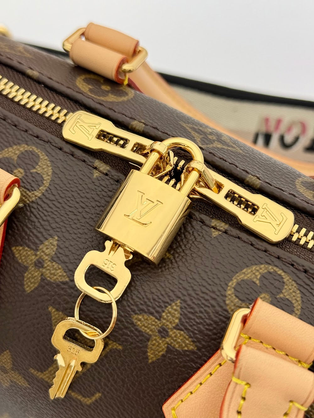 Anum Bags LVn Luxury Bag --79856