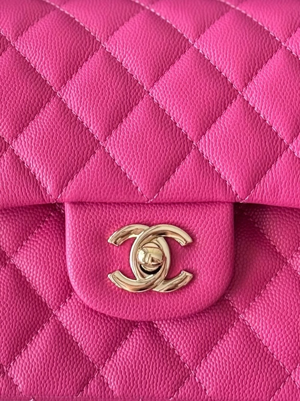 Anum Bags CHn Luxury Bag --112763