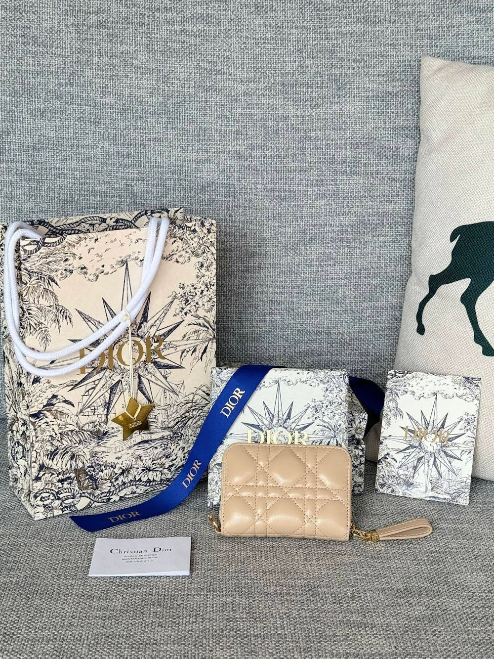 Anum Bags Diorn Luxury Bag --114566