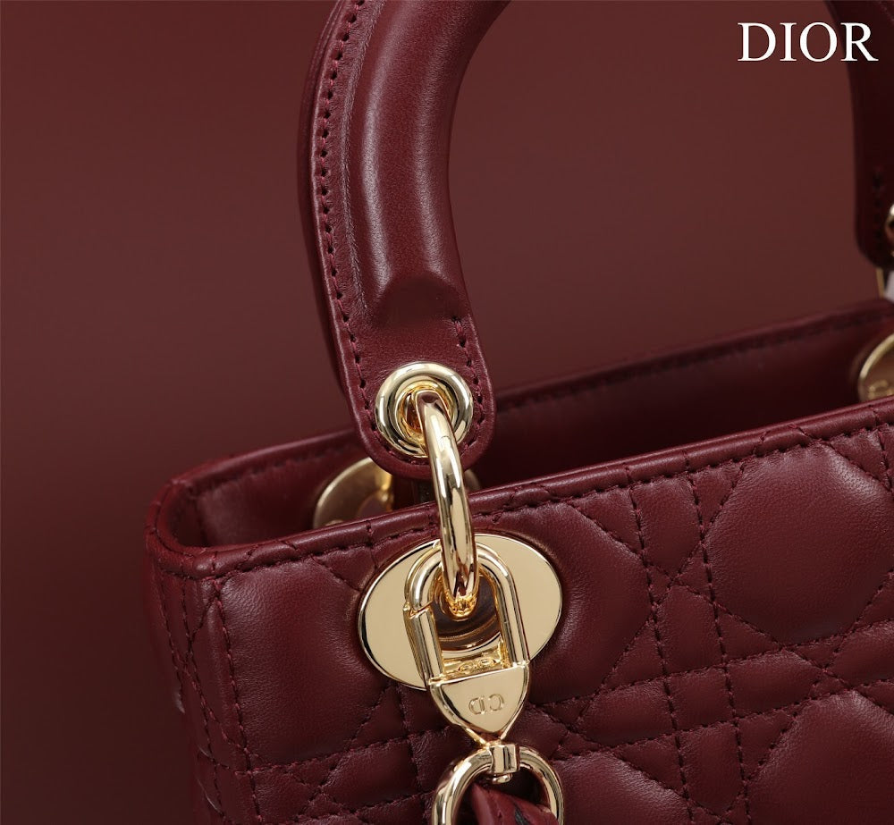 Ezyycart Bags Diorn Luxury Bag --115921