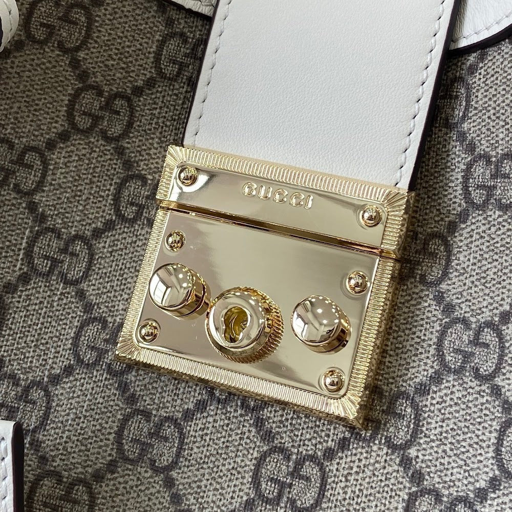 Ezyycart Bags Guccin Luxury Bag --94440