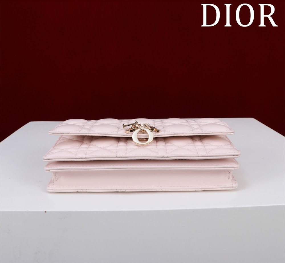 Ezyycart Bags Diorn Luxury Bag --116244