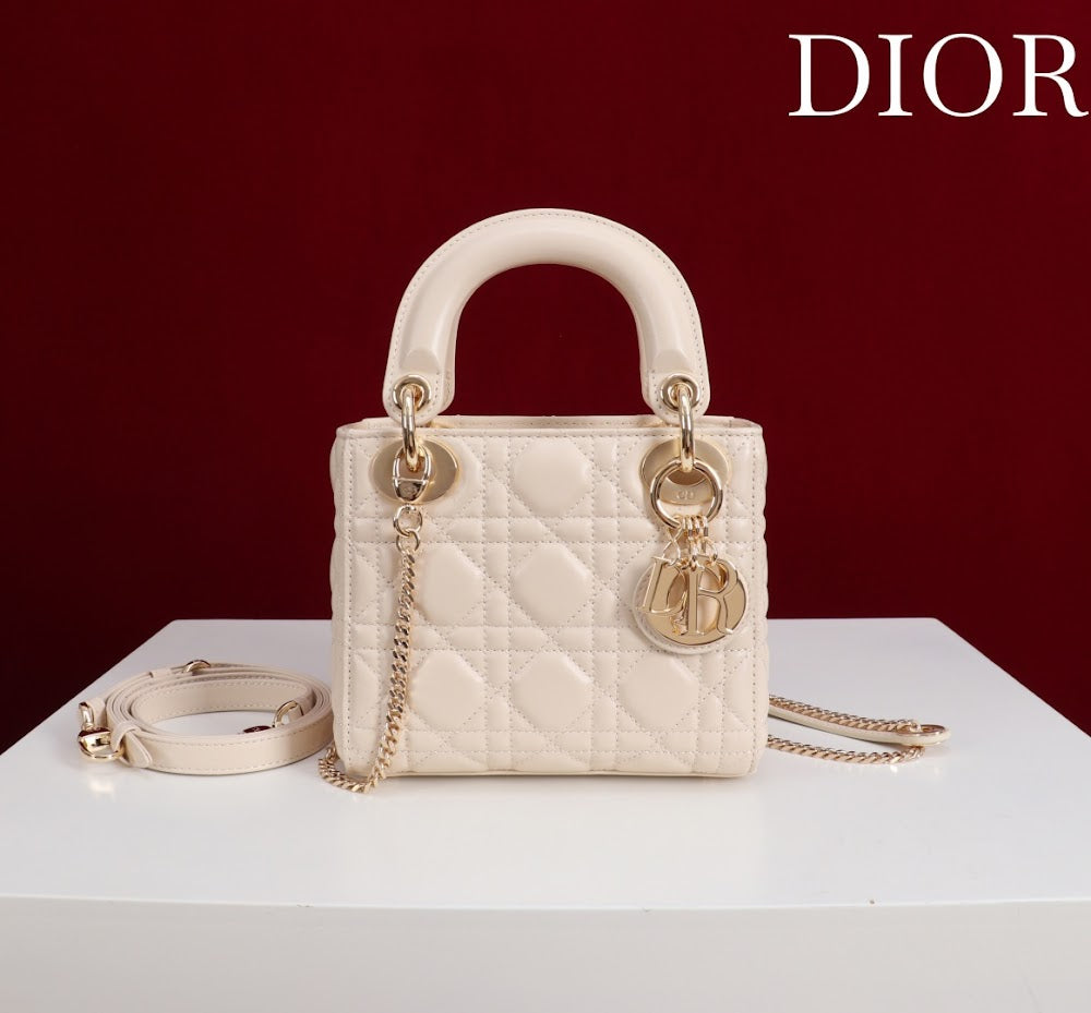 Ezyycart Bags Diorn Luxury Bag --115622