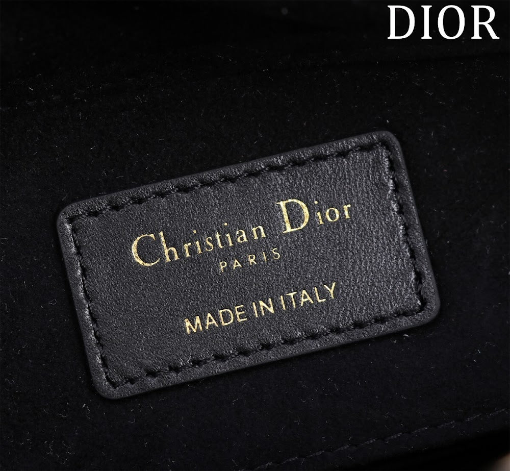 Anum Bags Diorn Luxury Bag --114714