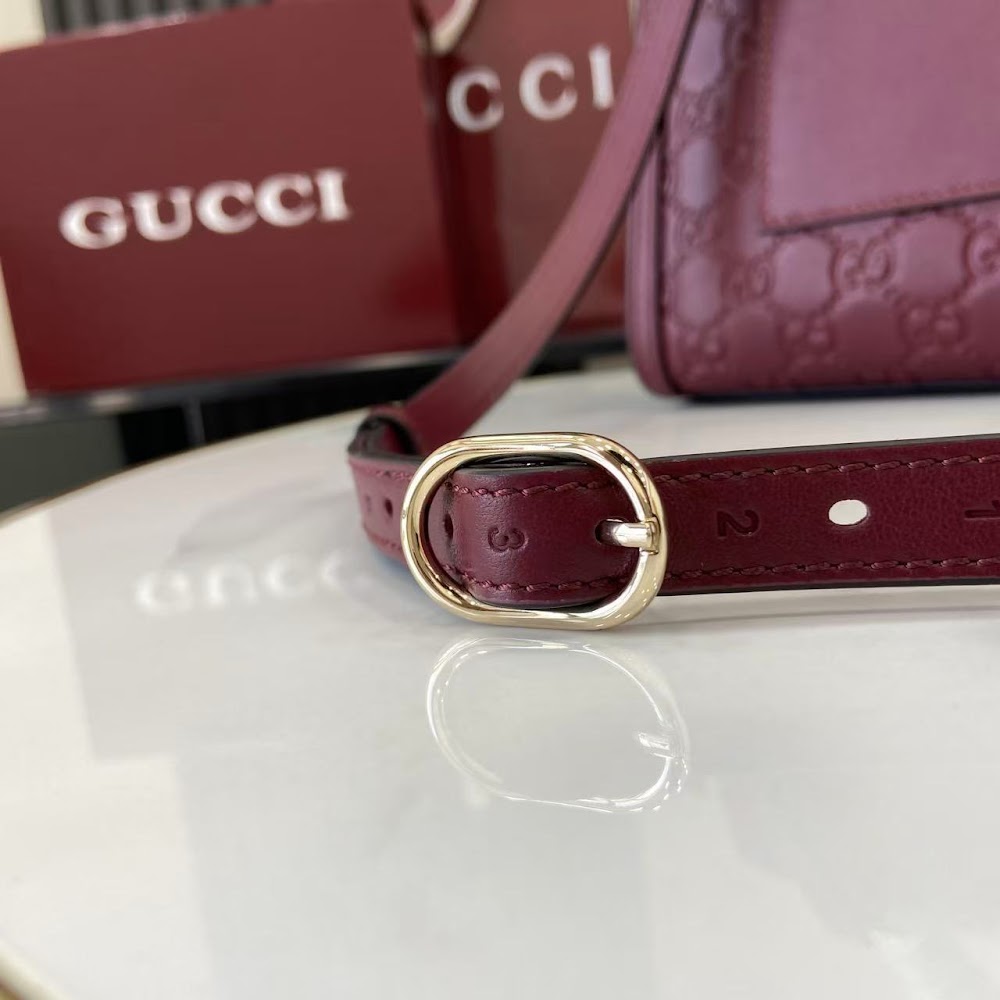 Ezyycart Bags Guccin Luxury Bag --94864