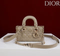 Ezyycart Bags Diorn Luxury Bag --115419