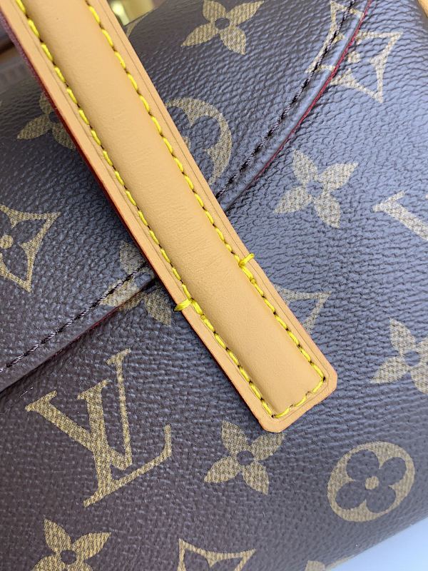 Anum Bags ln Luxury Bag --61027