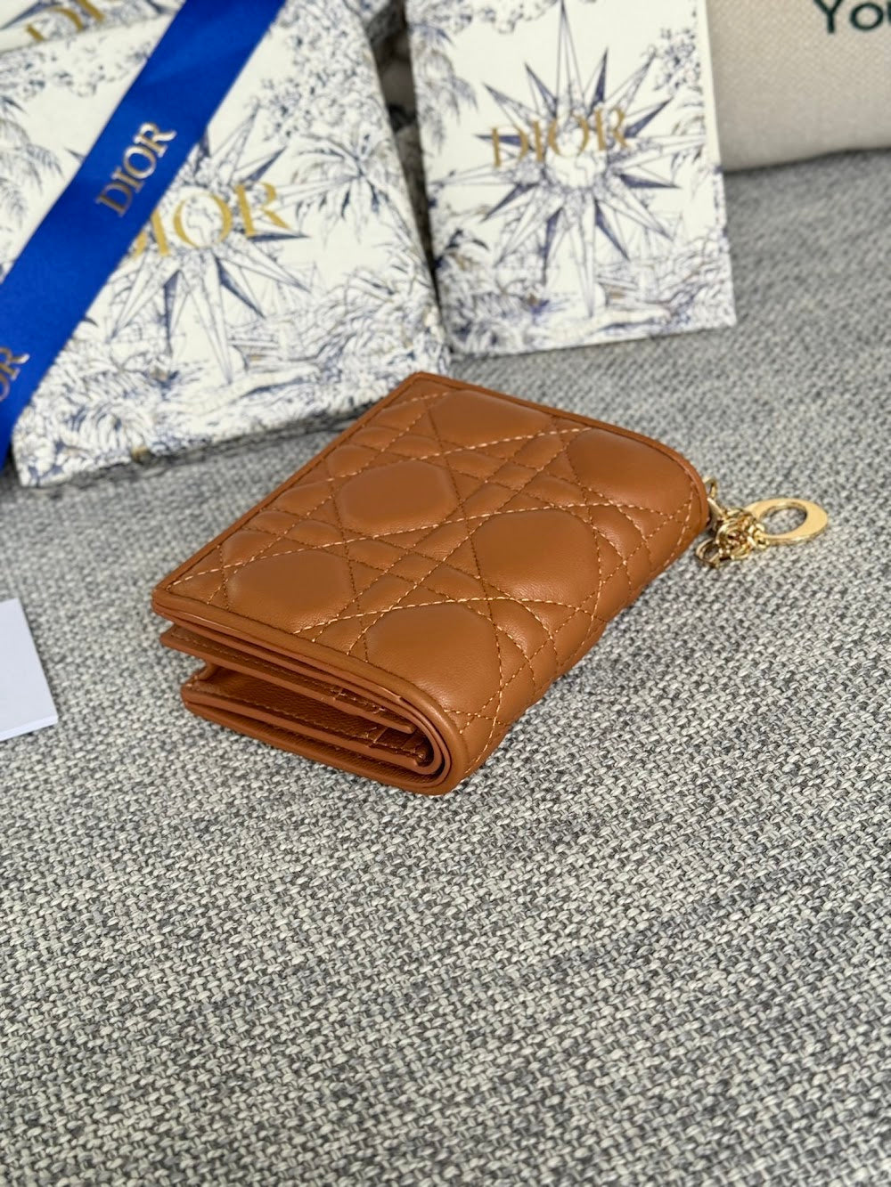 Ezyycart Bags Diorn Luxury Bag --115225