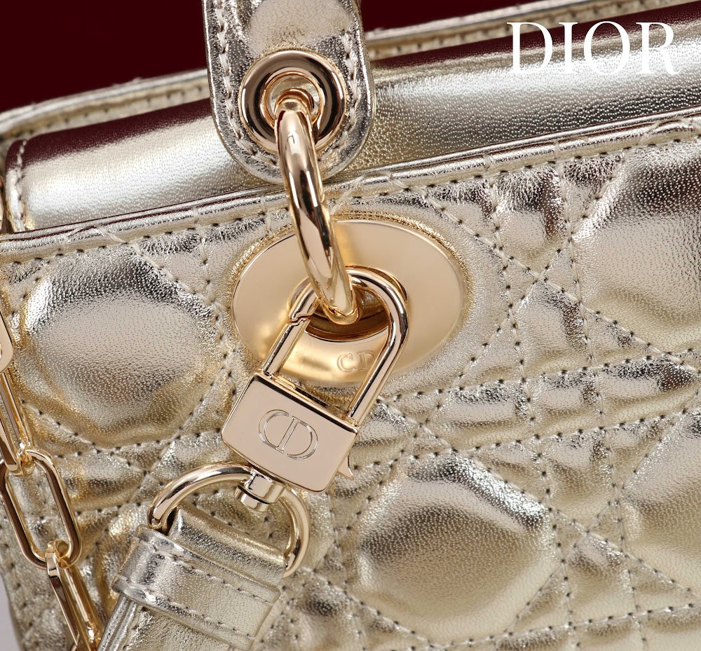 Ezyycart Bags Diorn Luxury Bag --114715