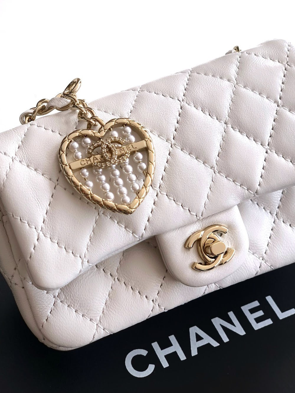 Anum Bags CHn Luxury Bag --112666