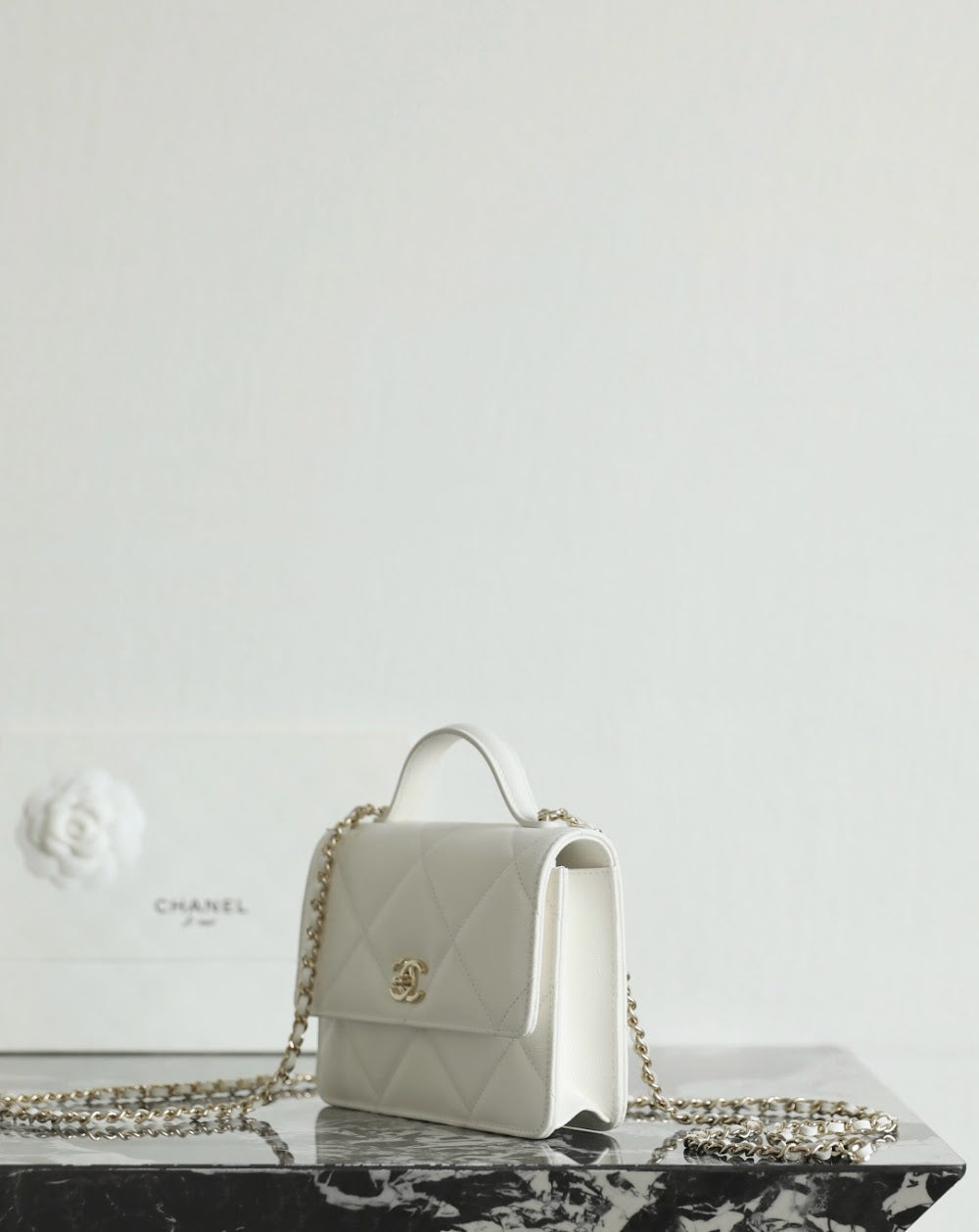 Anum Bags CHn Luxury Bag --113618