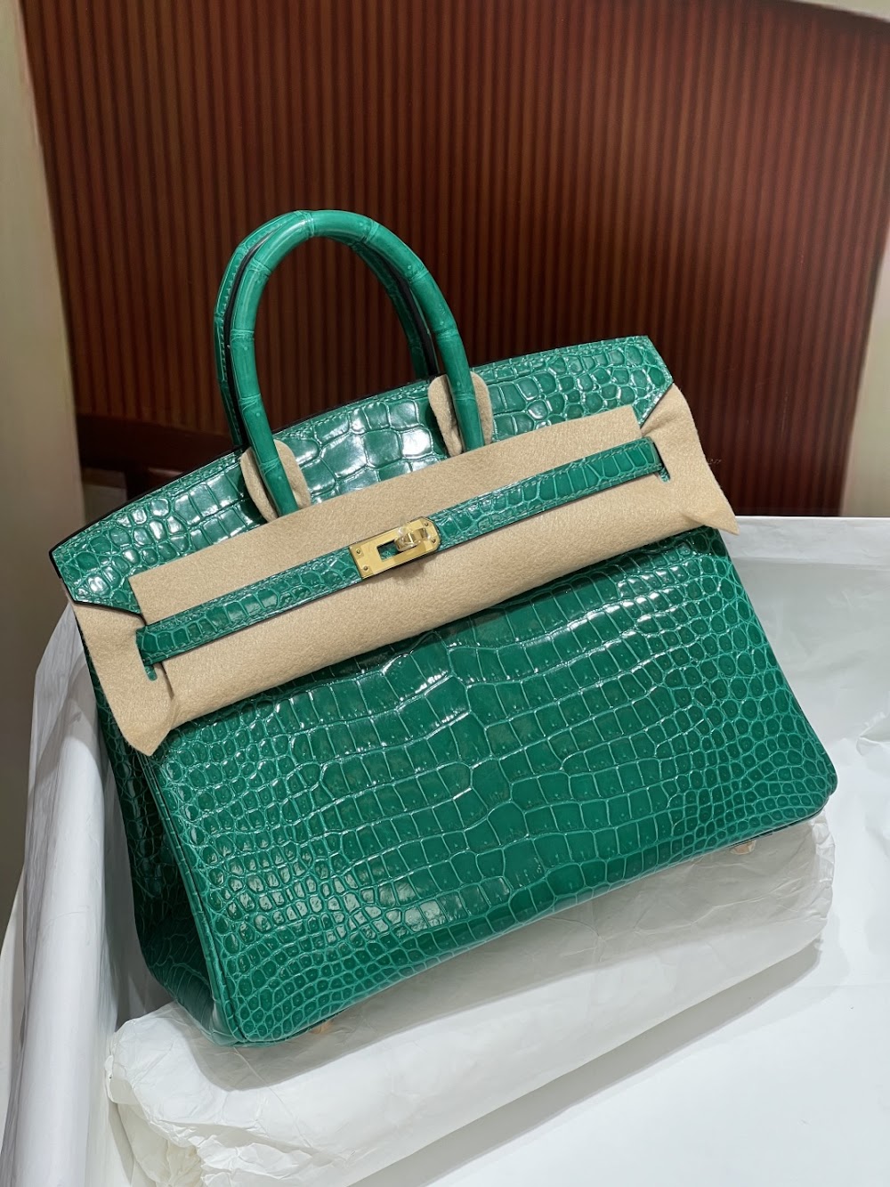 Anum Bags Hermesn Luxury Bag --117116