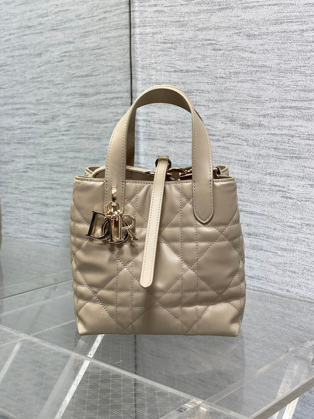Ezyycart Bags Diorn Luxury Bag --115663