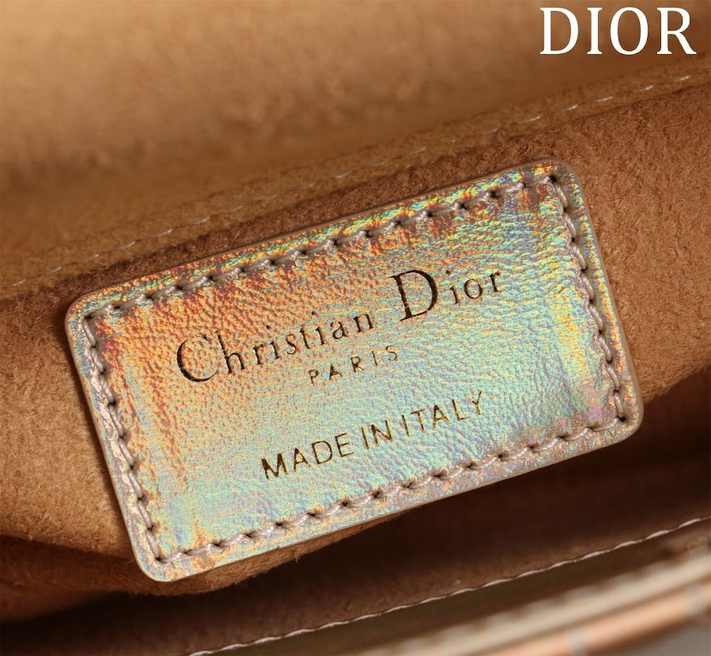 Ezyycart Bags Diorn Luxury Bag --116469