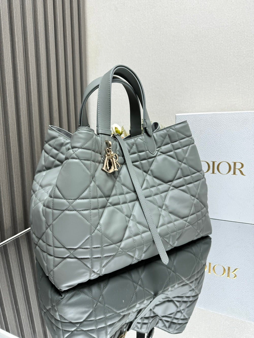 Ezyycart Bags Diorn Luxury Bag --116402
