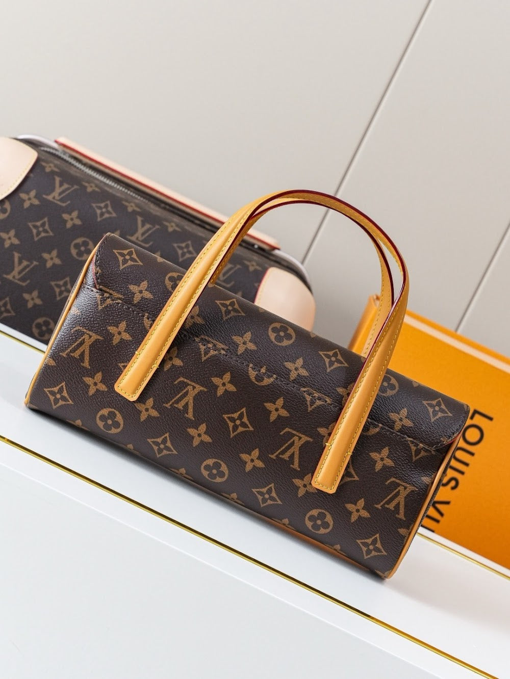 Anum Bags LVn Luxury Bag --79695