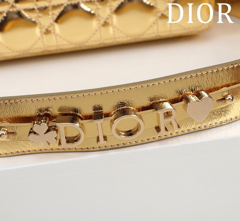 Ezyycart Bags Diorn Luxury Bag --115940