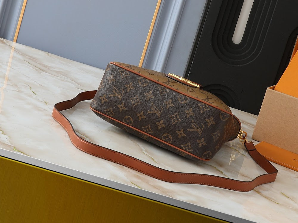 Anum Bags LVn Luxury Bag --79291