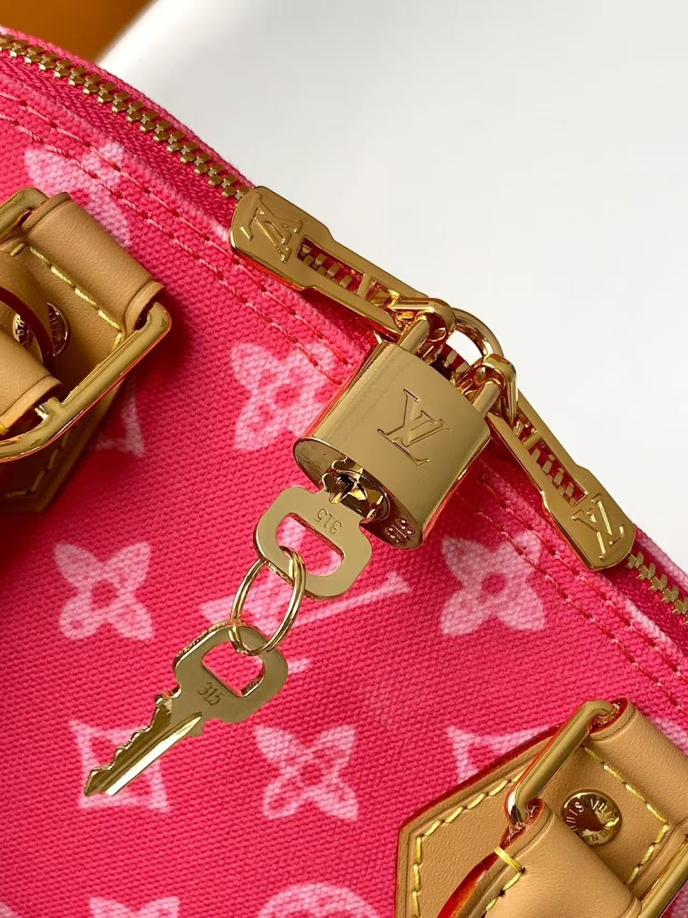Anum Bags LVn Luxury Bag --80558