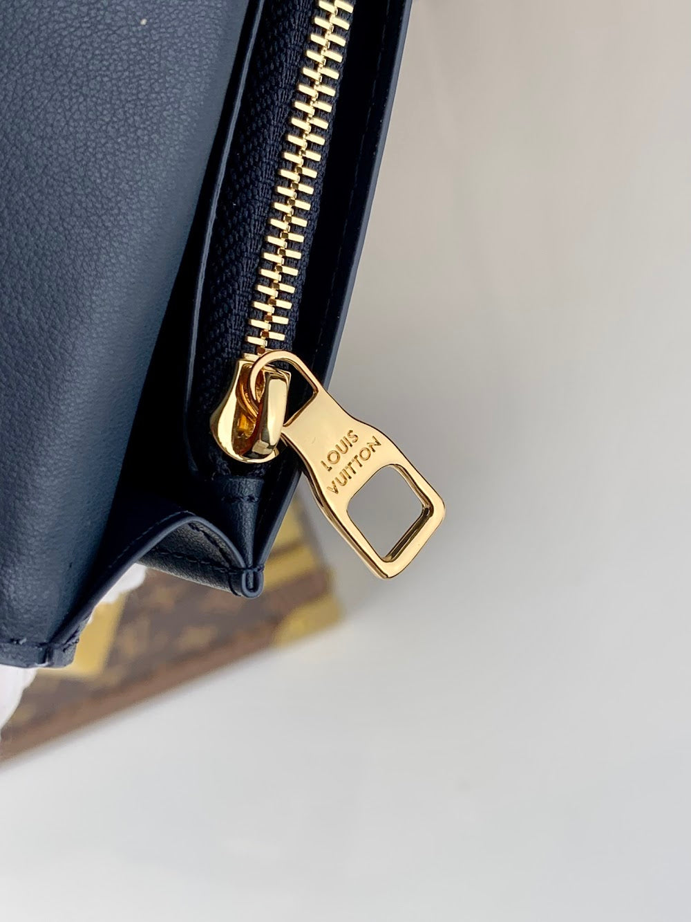 Anum Bags ln Luxury Bag --57621