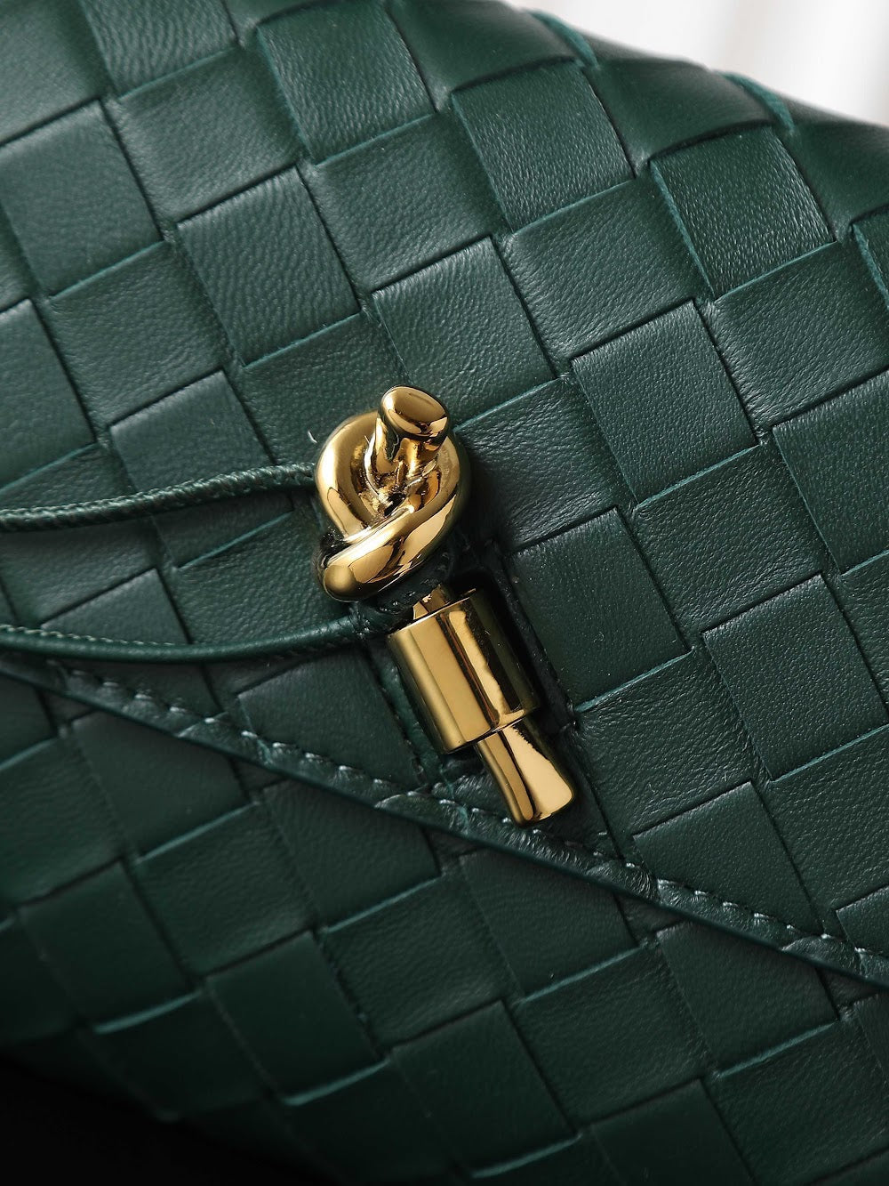 Ezyycart Bags Bottegan Luxury Bag --91388