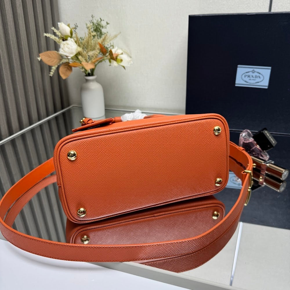 Ezyycart Bags Pradn Luxury Bag --102319
