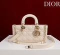 Ezyycart Bags Diorn Luxury Bag --115621