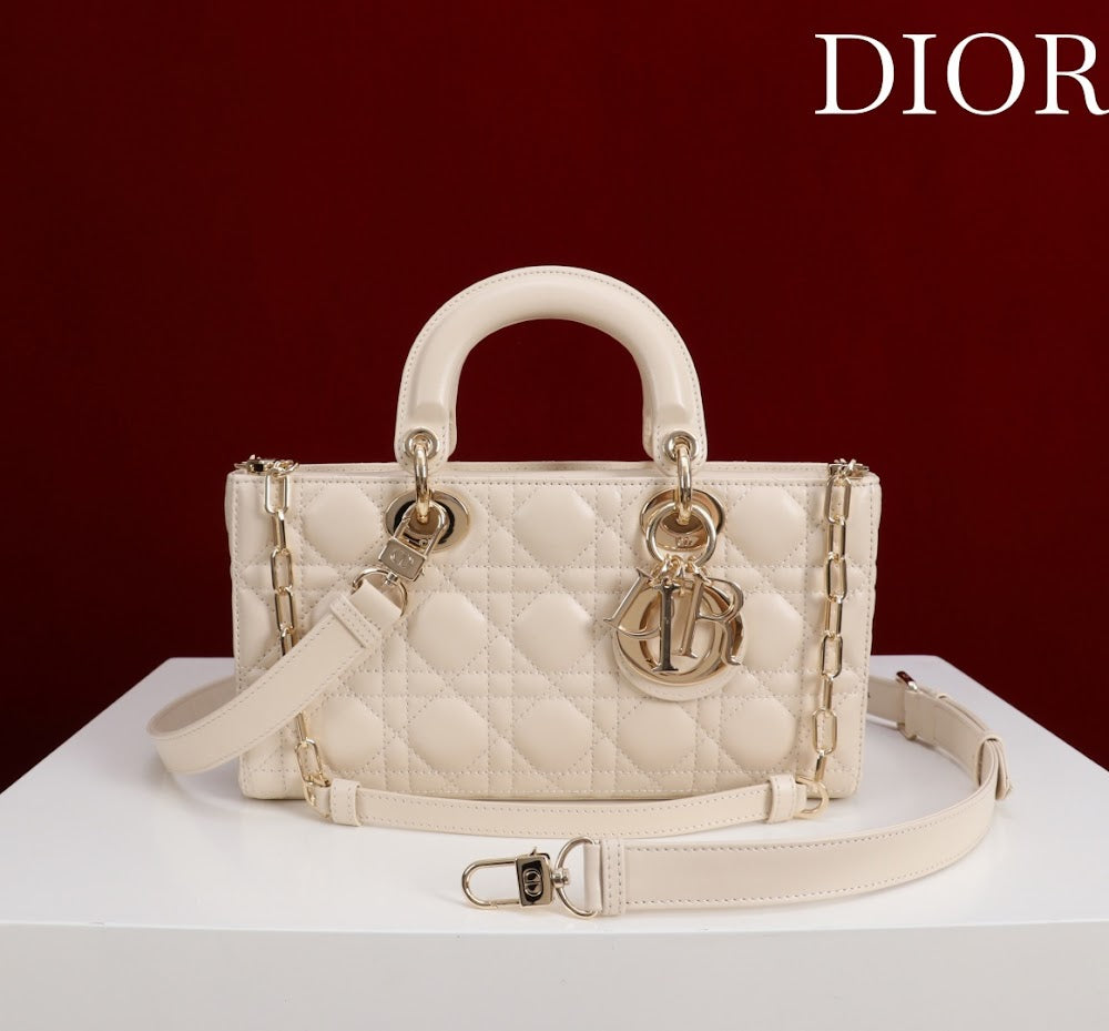 Ezyycart Bags Diorn Luxury Bag --115621