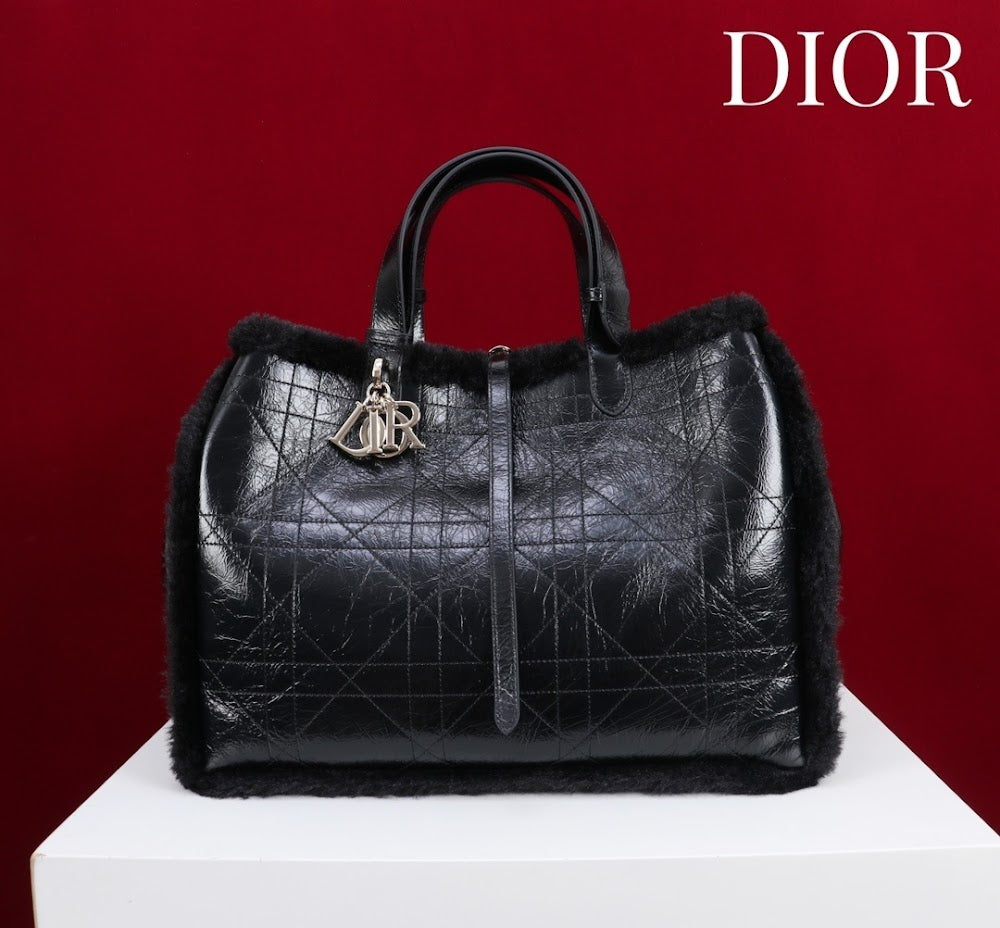 Ezyycart Bags Diorn Luxury Bag --116118