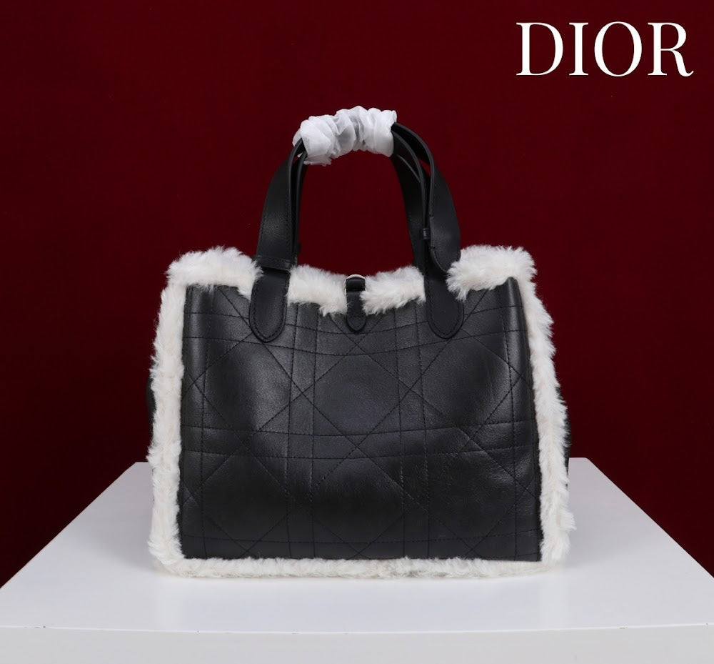 Anum Bags Diorn Luxury Bag --114889