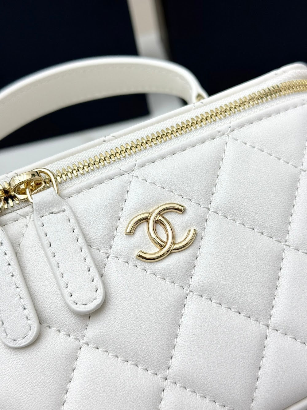 Anum Bags CHn Luxury Bag --113791