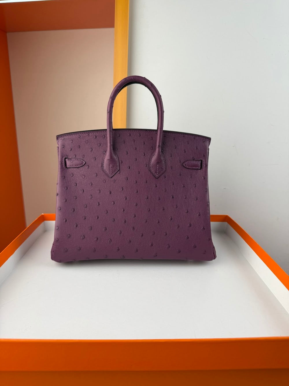 Anum Bags Hermesn Luxury Bag --116760