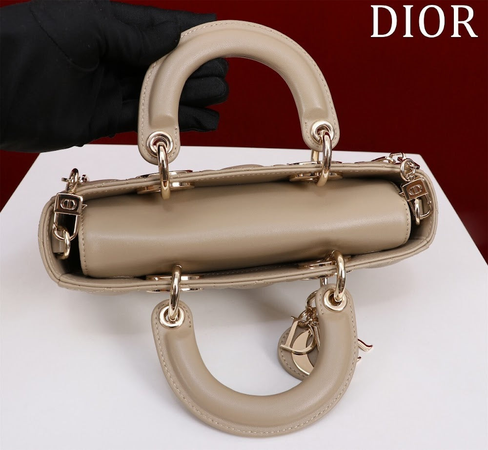 Anum Bags Diorn Luxury Bag --114768