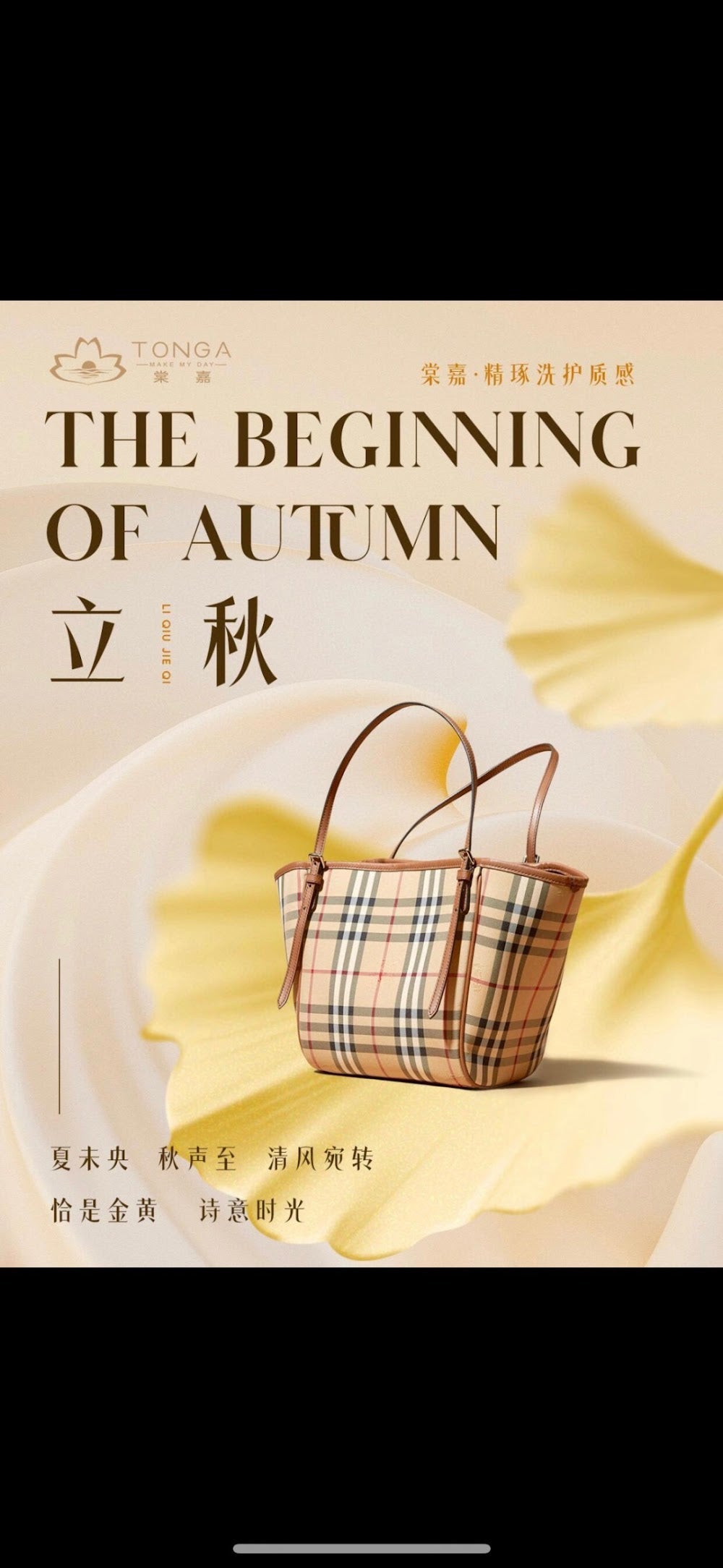 Ezyycart Bags Burberryn Luxury Bag --92014