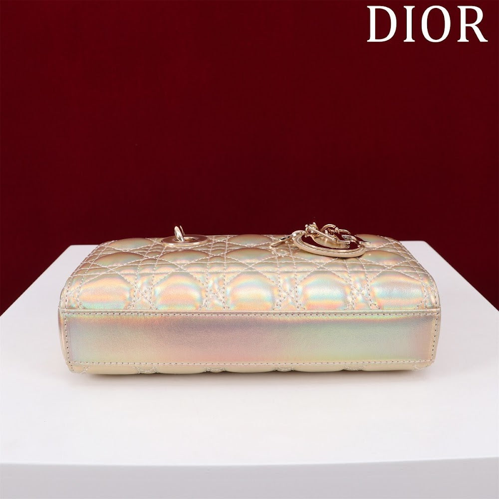 Anum Bags Diorn Luxury Bag --114733