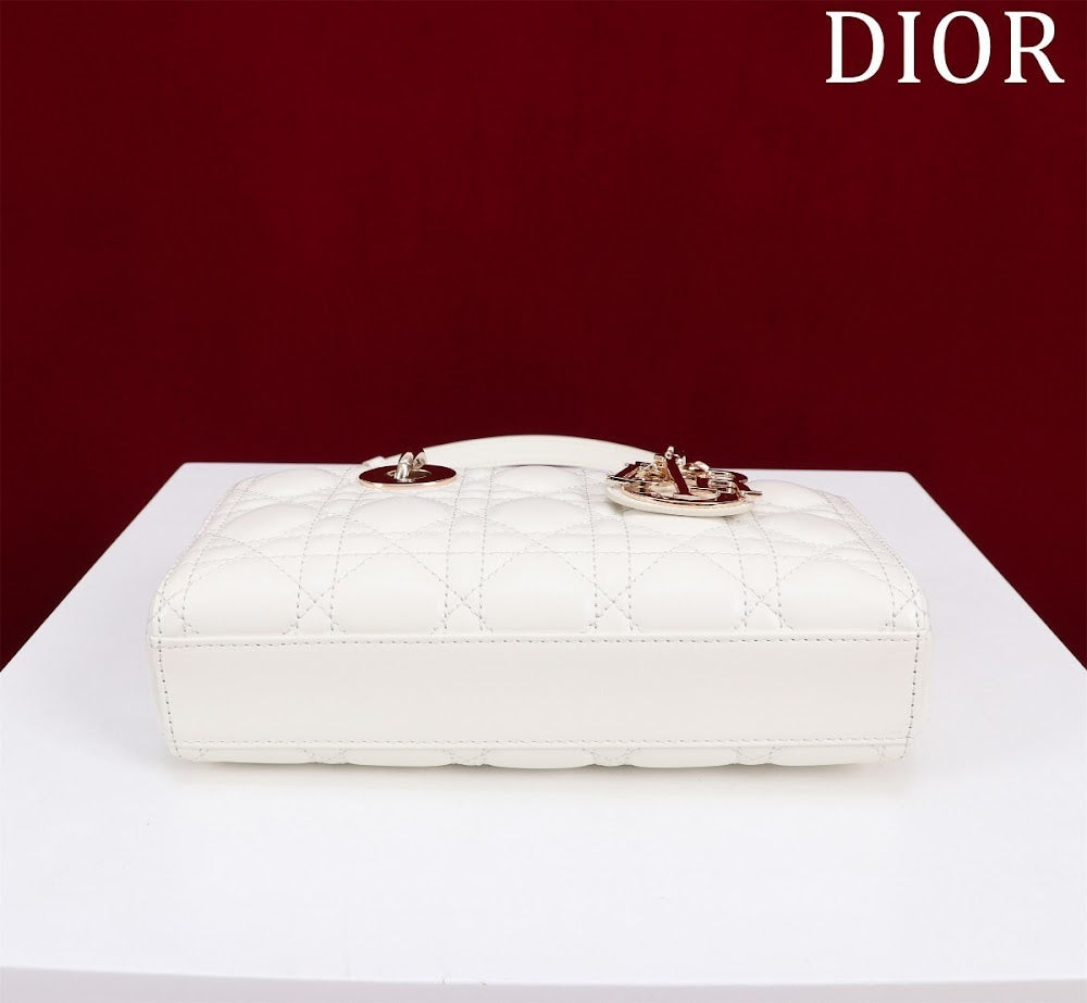 Anum Bags Diorn Luxury Bag --114764