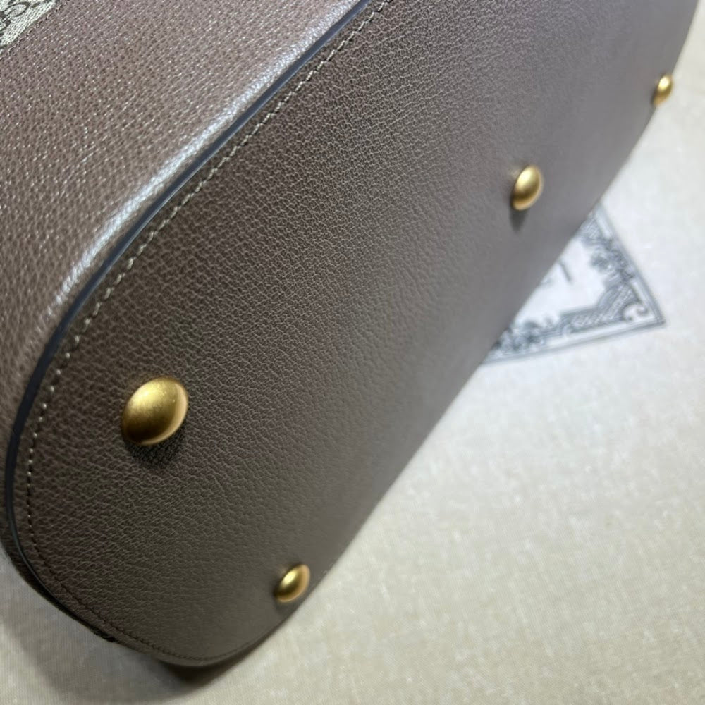 Ezyycart Bags Guccin Luxury Bag --94743