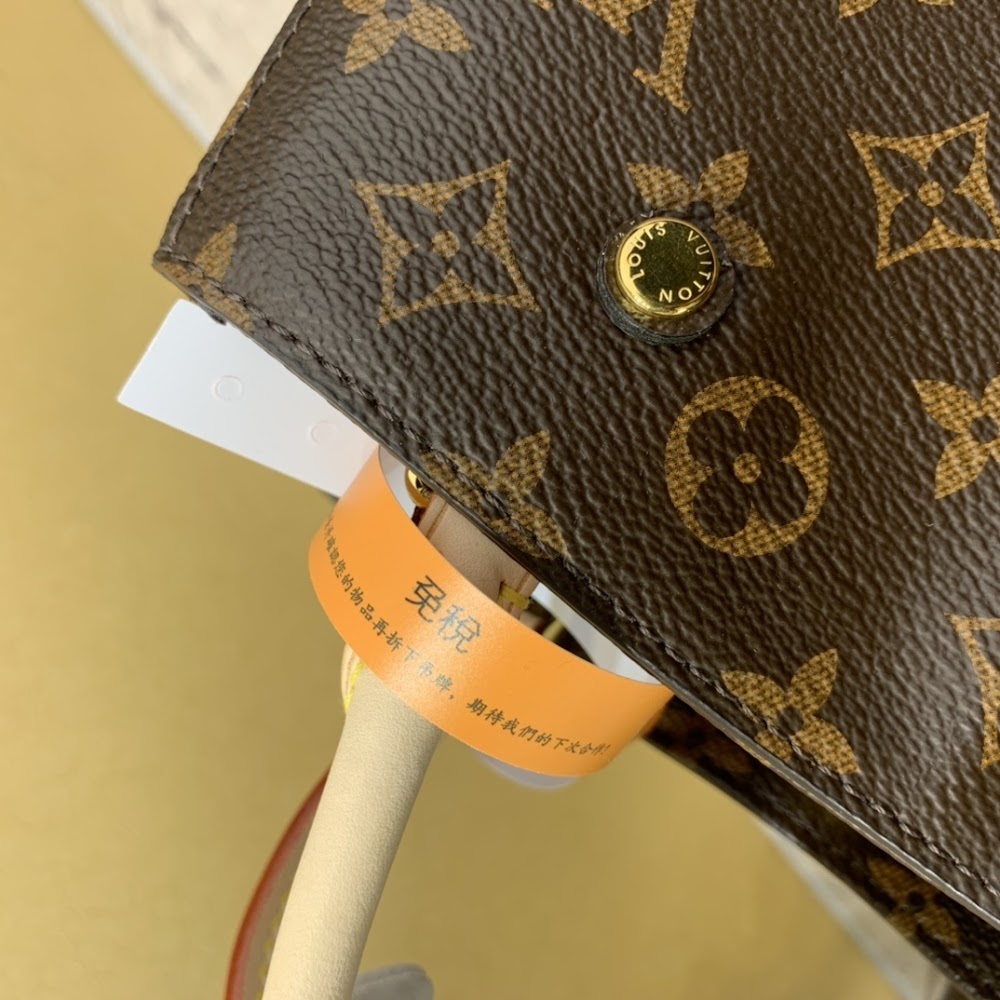 Anum Bags ln Luxury Bag --59115