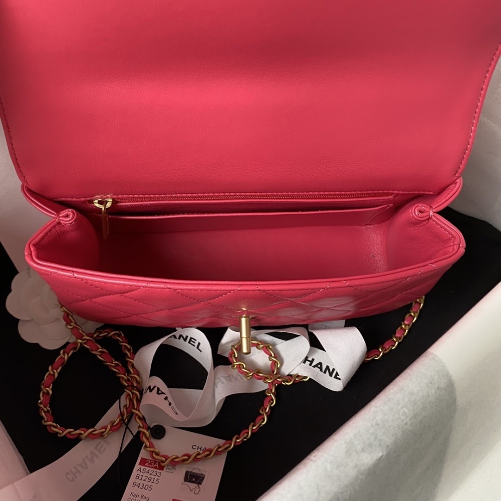 new-luxury-designer-bags-nm10097
