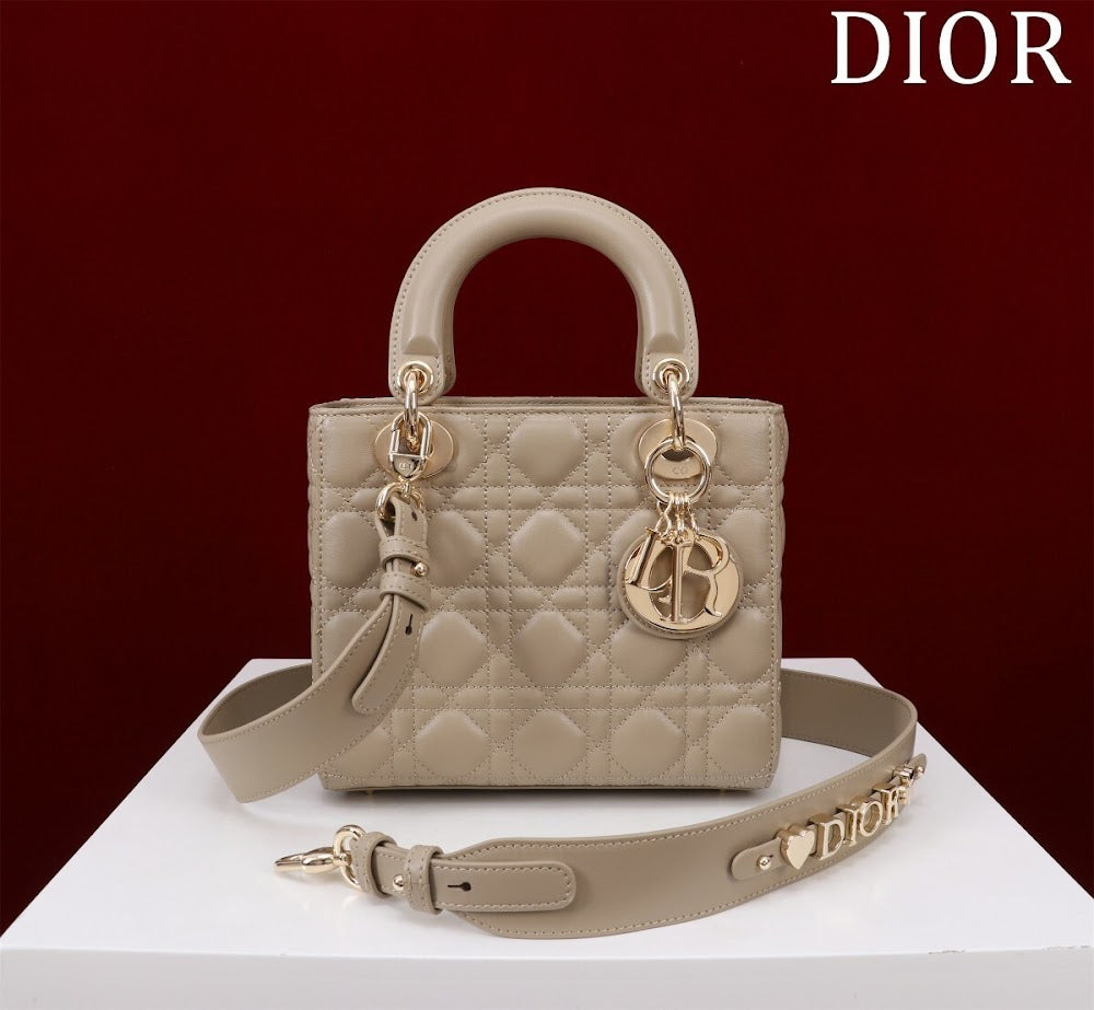 Ezyycart Bags Diorn Luxury Bag --115933