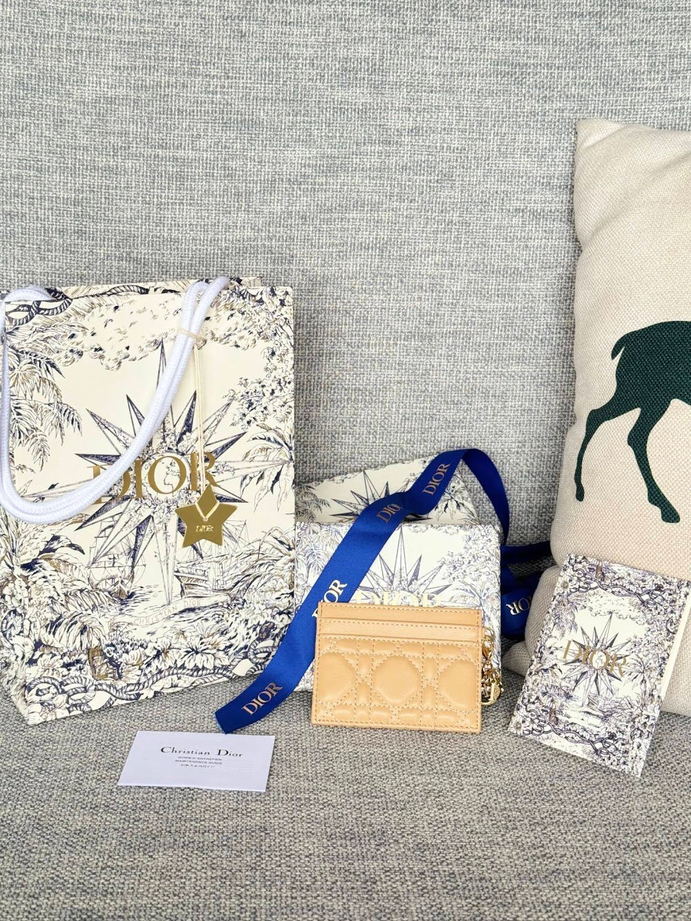 Anum Bags Diorn Luxury Bag --114678