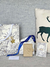 new-designer-premium-bags-nm7321