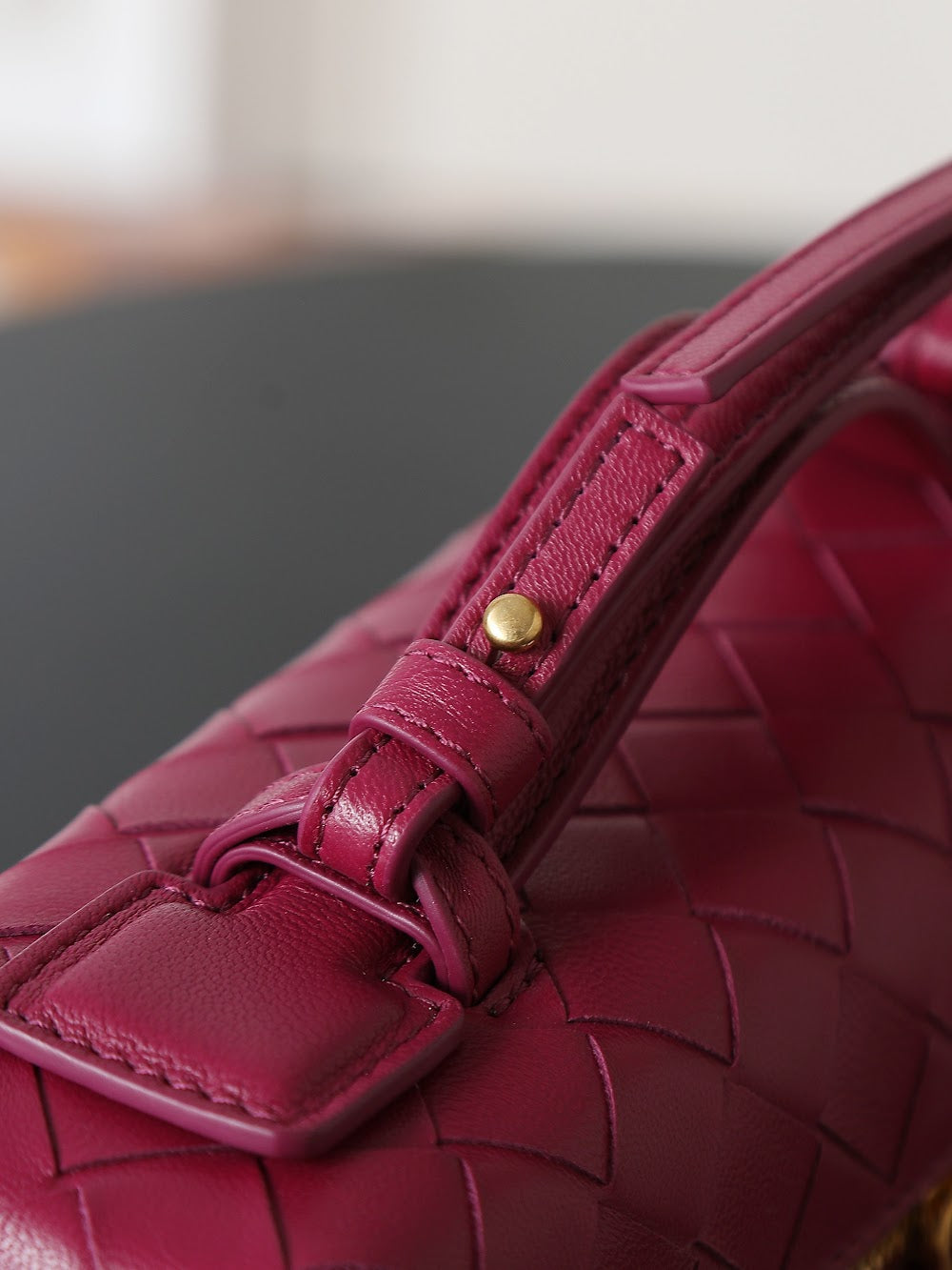 Ezyycart Bags Bottegan Luxury Bag --91362