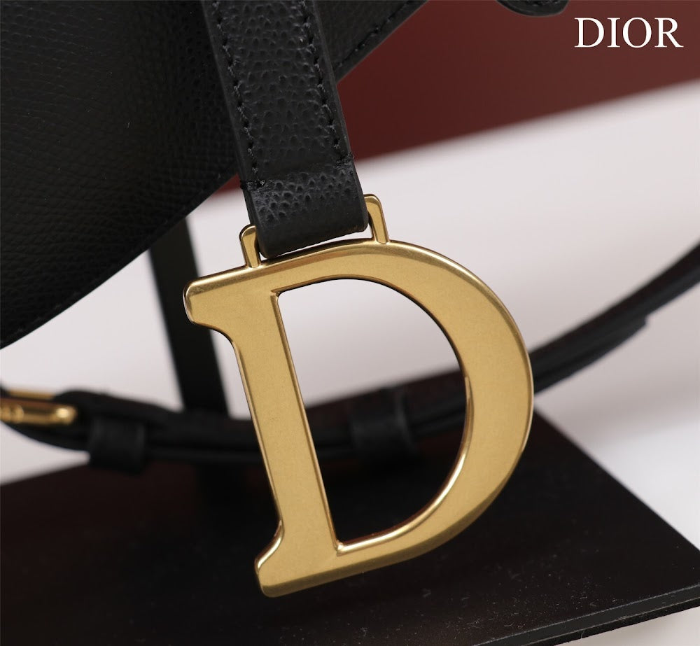 Ezyycart Bags Diorn Luxury Bag --116523
