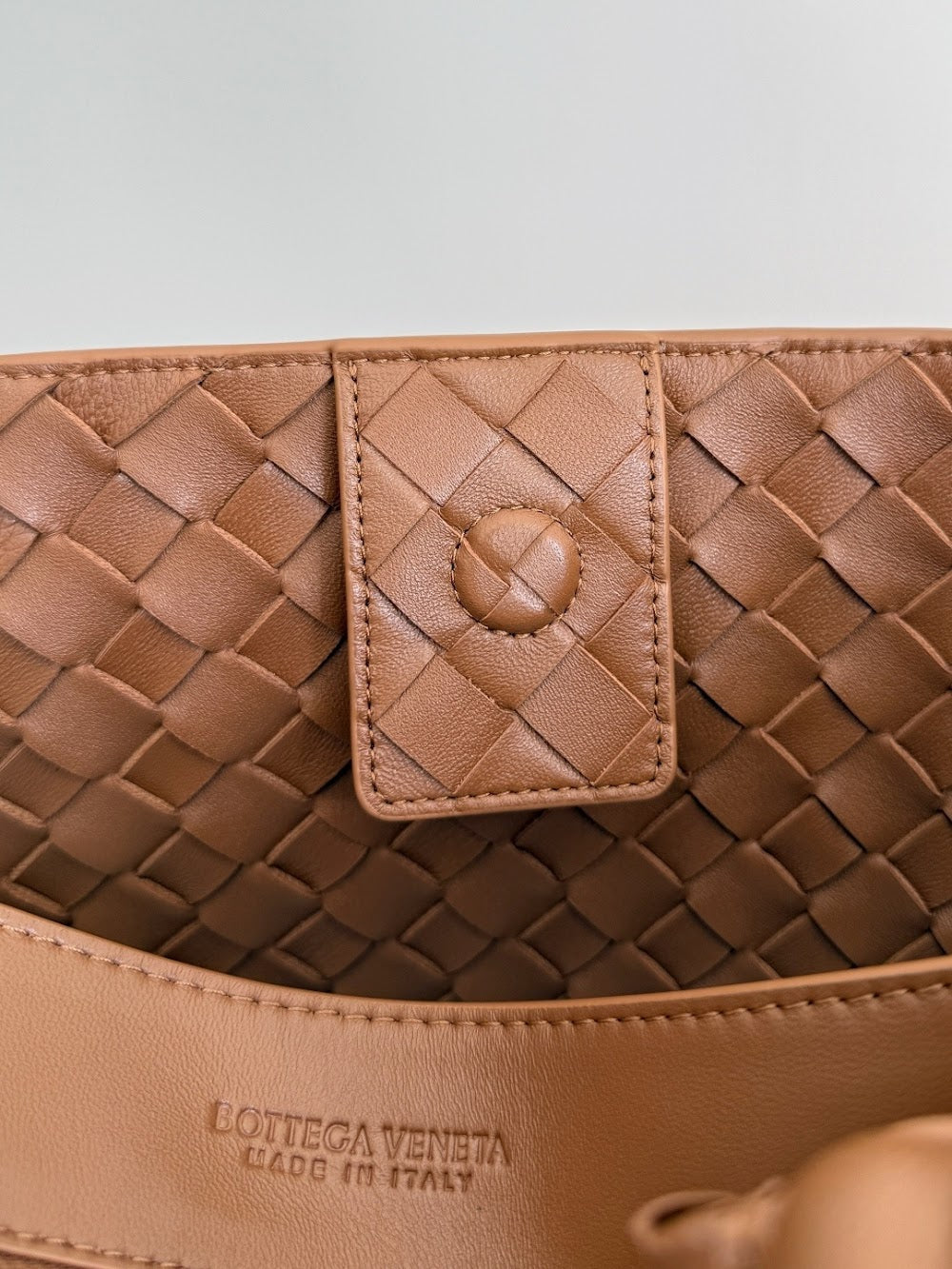 Ezyycart Bags Bottegan Luxury Bag --90658