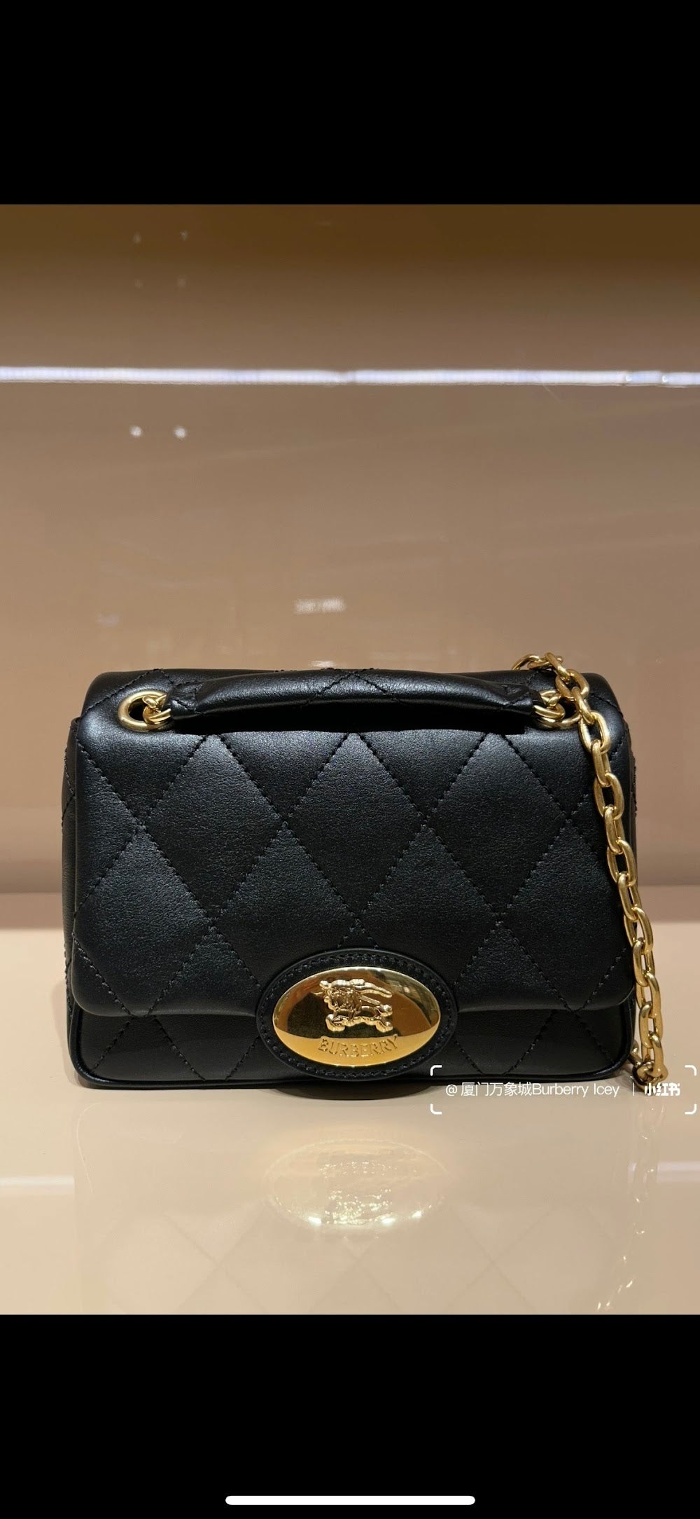 Ezyycart Bags Burberryn Luxury Bag --92304