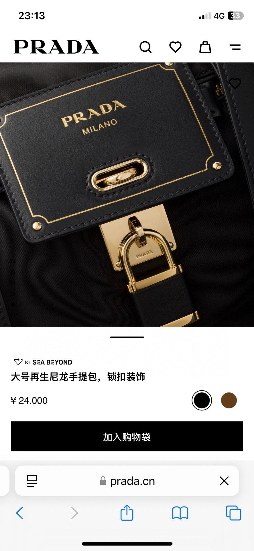 Ezyycart Bags Pradn Luxury Bag --101916