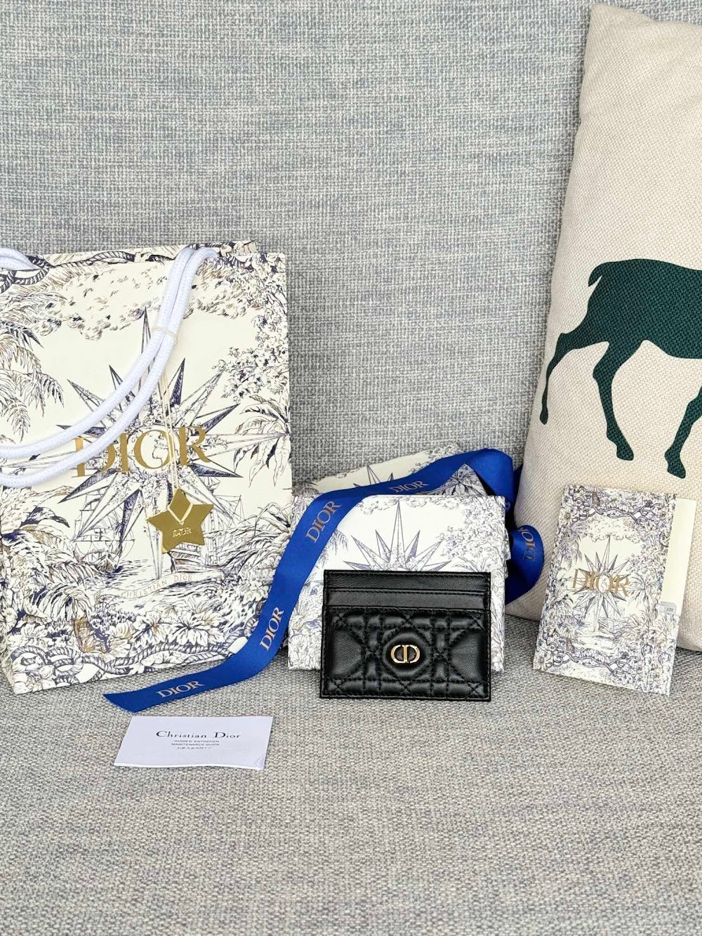 Anum Bags Diorn Luxury Bag --114522